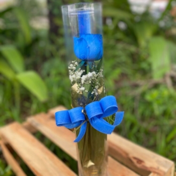 Botão rosa azul no tubo