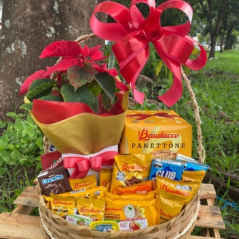 Cesta de café Natal