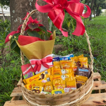 Cesta de café Natal