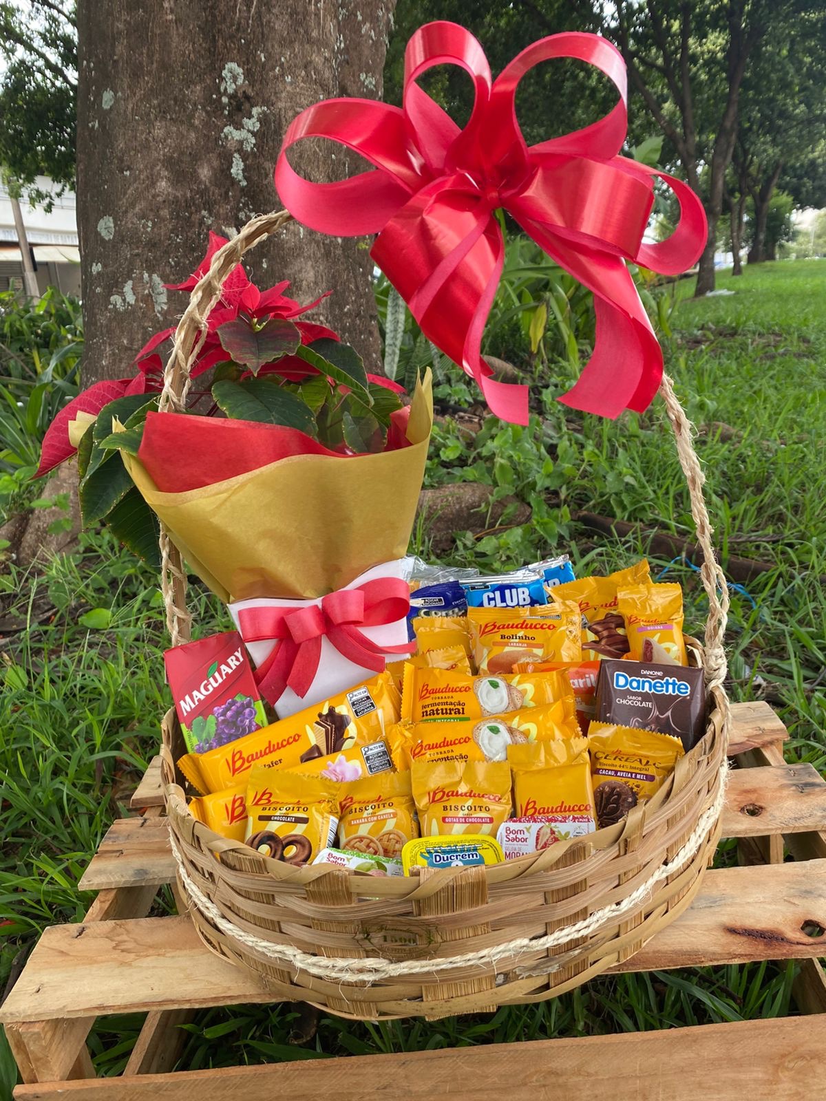 Cesta de café Natal