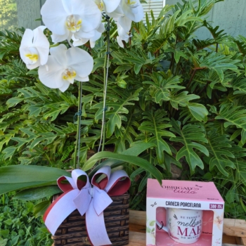 Orquídea com caneca para Mãe