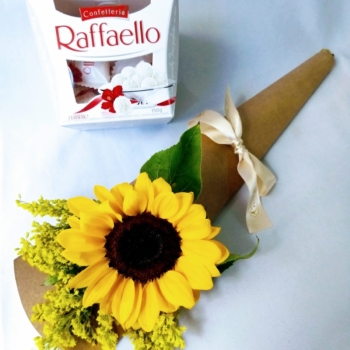 Girassol com chocolate