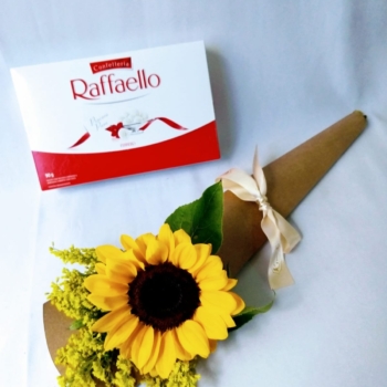 Girassol com chocolate