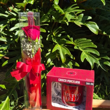 Botão rosa no tubo caneca de amor