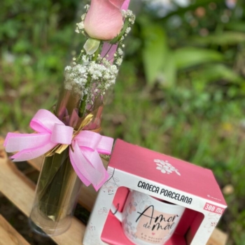 Botão rosa no tubo caneca mãe