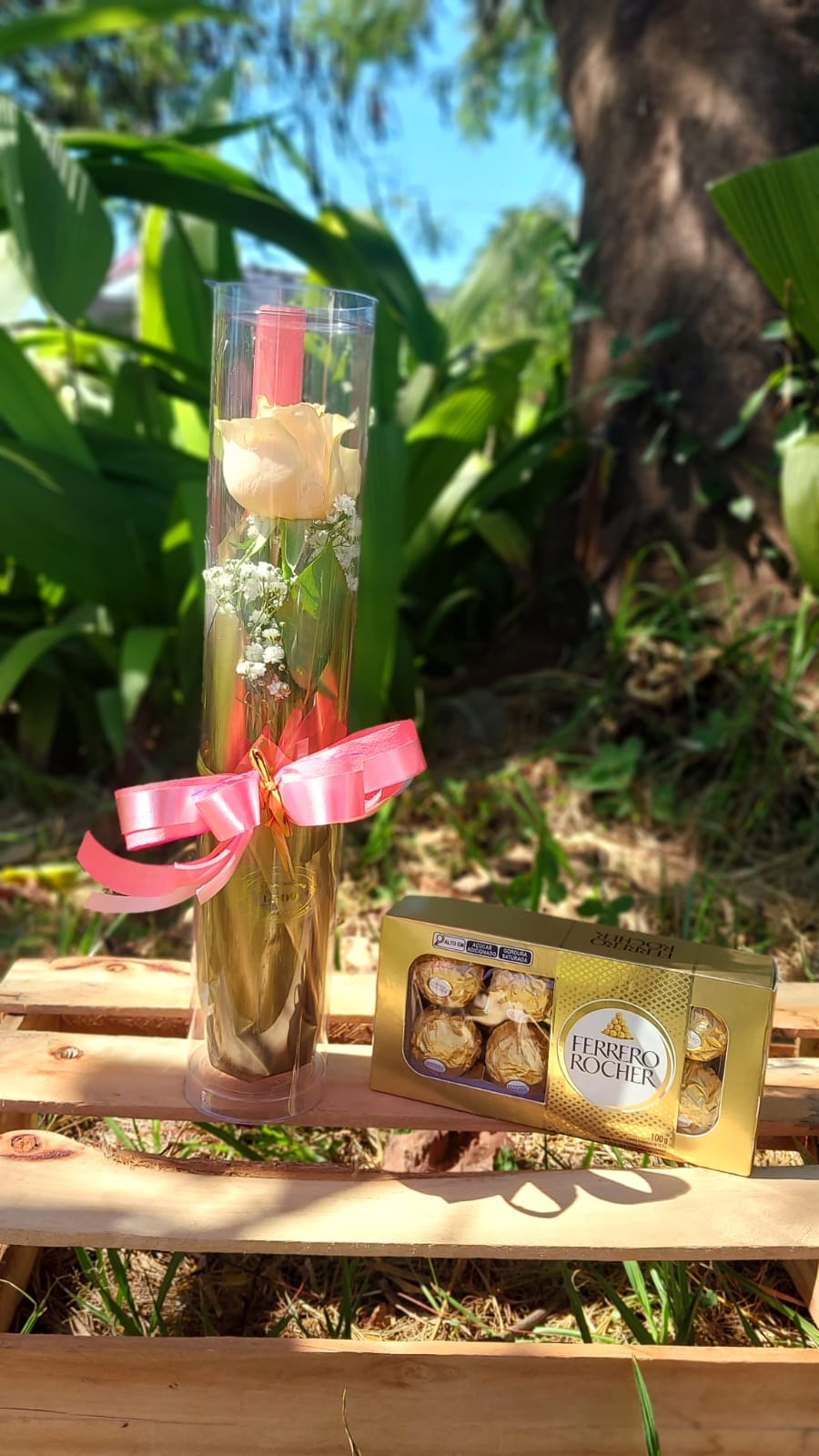 Botão de rosa no tubo com ferrero