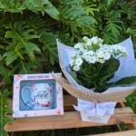 Flor da fortuna P com caneca